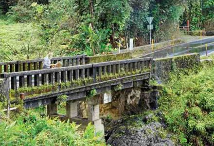 Hawaii’s Abundant and Ignored Earth